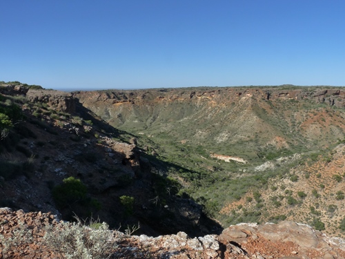 Thomas Carter Lookout
